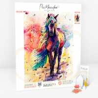 Lesen Picmondoo GmbH Bewertungen